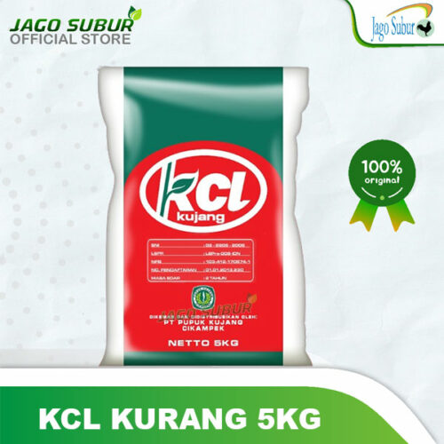 PUPUK KCL KUJANG