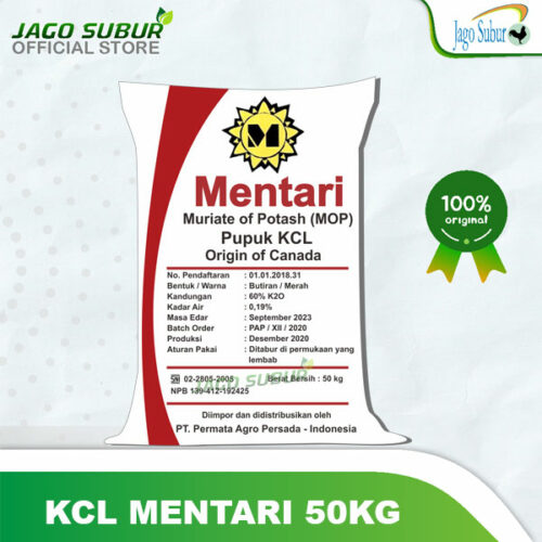 KCL MENTARI